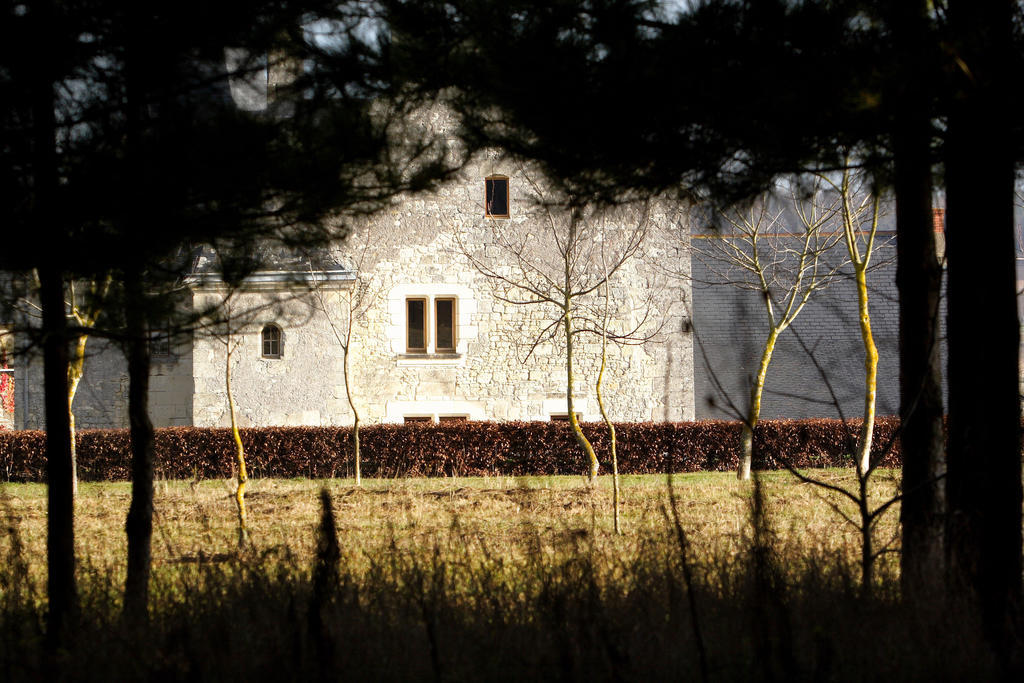 Bed and Breakfast Manoir Du Bois Noblet Louerre Esterno foto