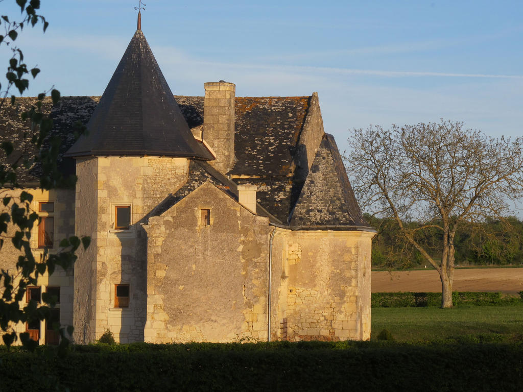 Bed and Breakfast Manoir Du Bois Noblet Louerre Esterno foto