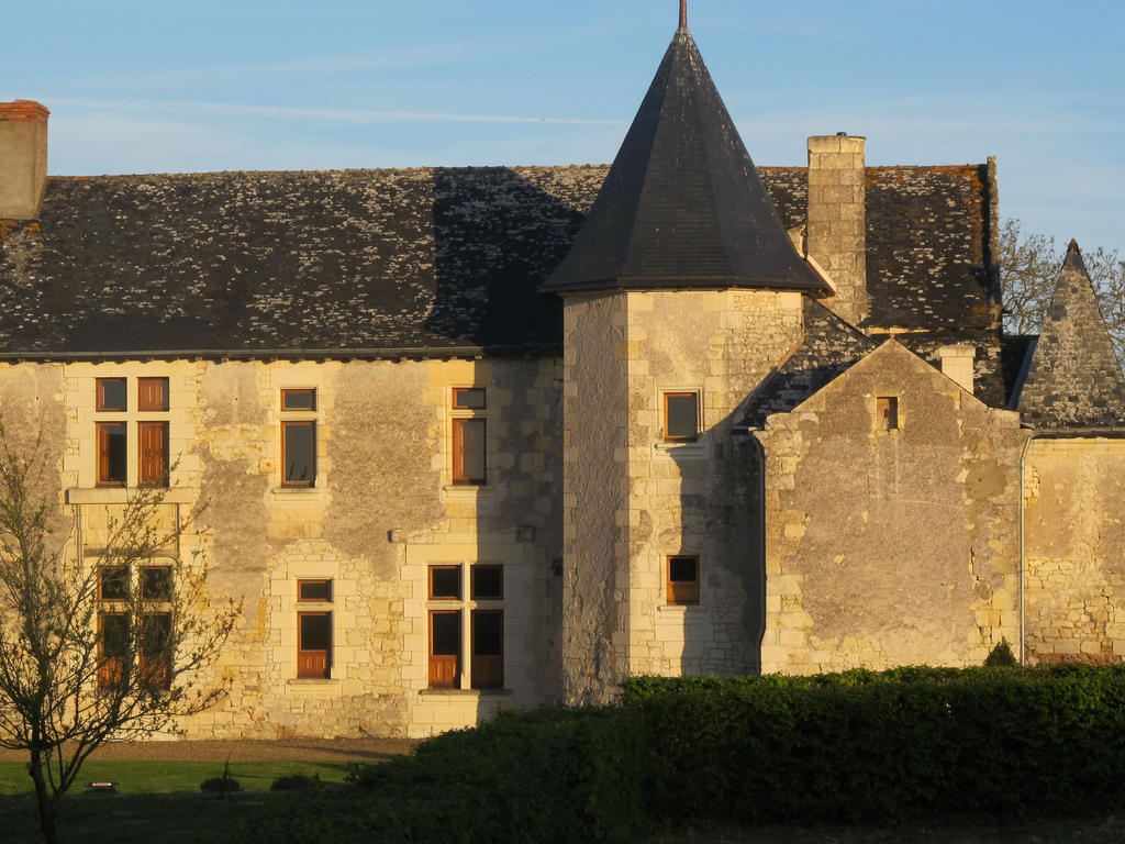 Bed and Breakfast Manoir Du Bois Noblet Louerre Esterno foto